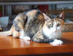 06--mimi.beautiful.jpg
