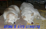 5.13@sleeping.jpg